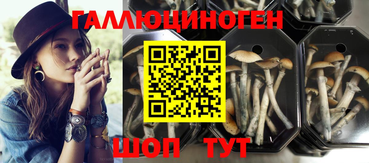 Галлюциногенные грибы MAGIC MUSHROOMS  Вход с VPN  Галлюциногенные грибы Cubensis  что такое наркотик  Хабаровск 